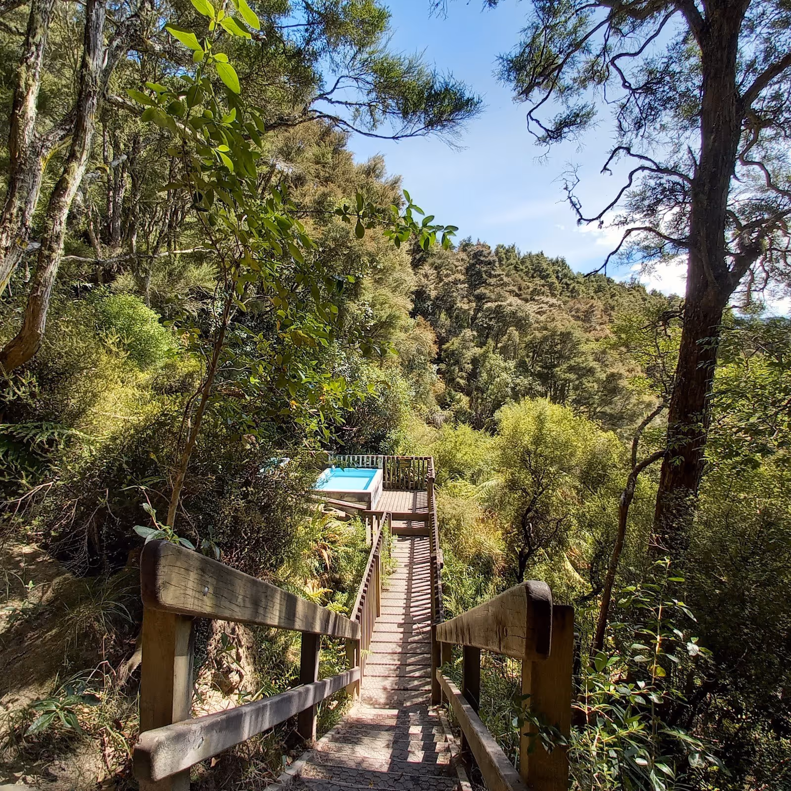 Boardwalk with wooden railings leading to a small rectangular hot spring pool nestled in dense green forest near Napier.