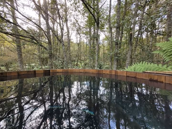 Empty outdoor wooden hot tub reflecting surrounding trees in a dense forest setting at Secret Spot Hot Tubs near Rotorua New Zealand.
