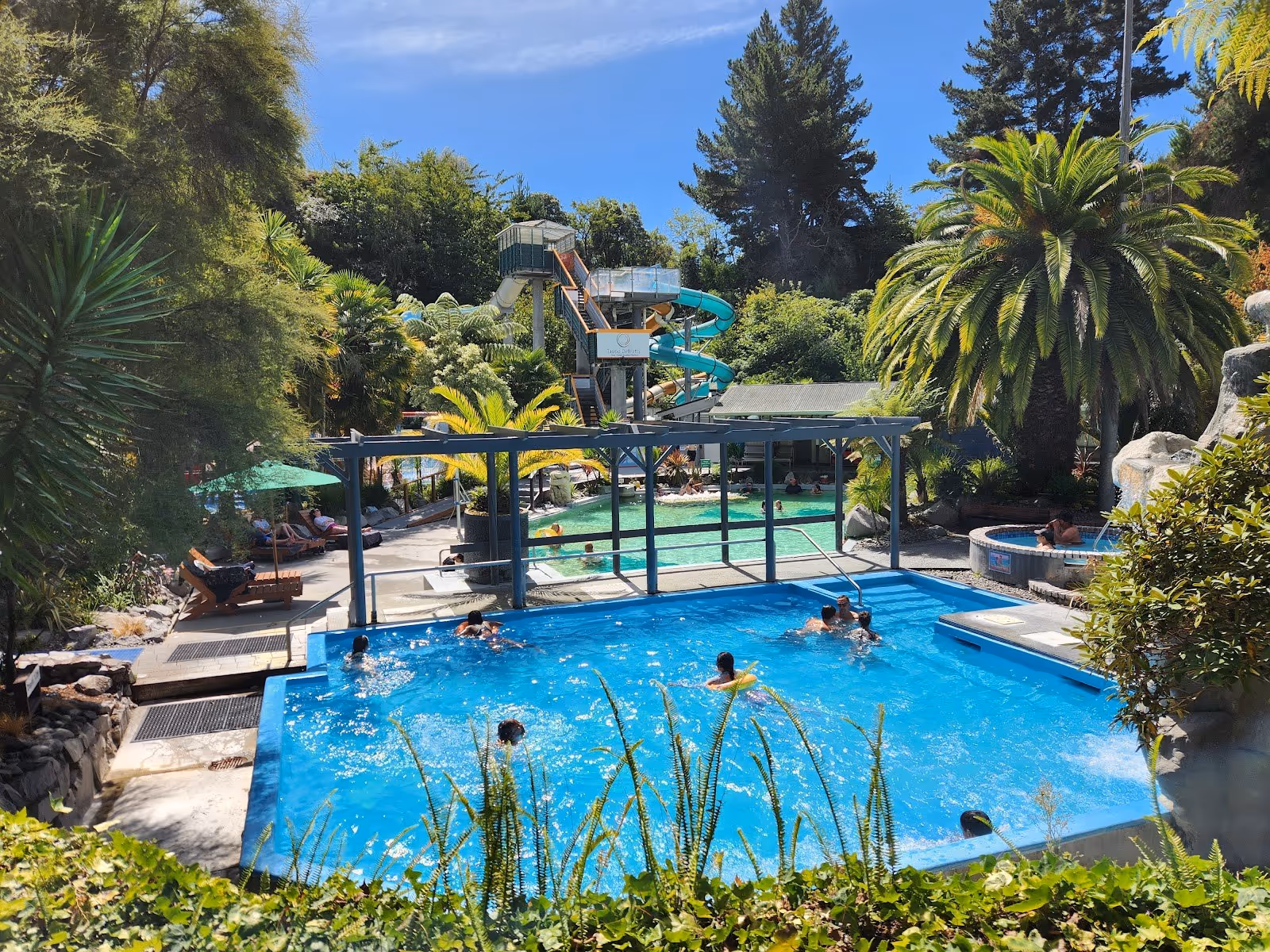 Outdoor pools with bright blue and green water, shaded seating, and tall trees under a clear sky at Taupo DeBretts Hot Springs in New Zeala.