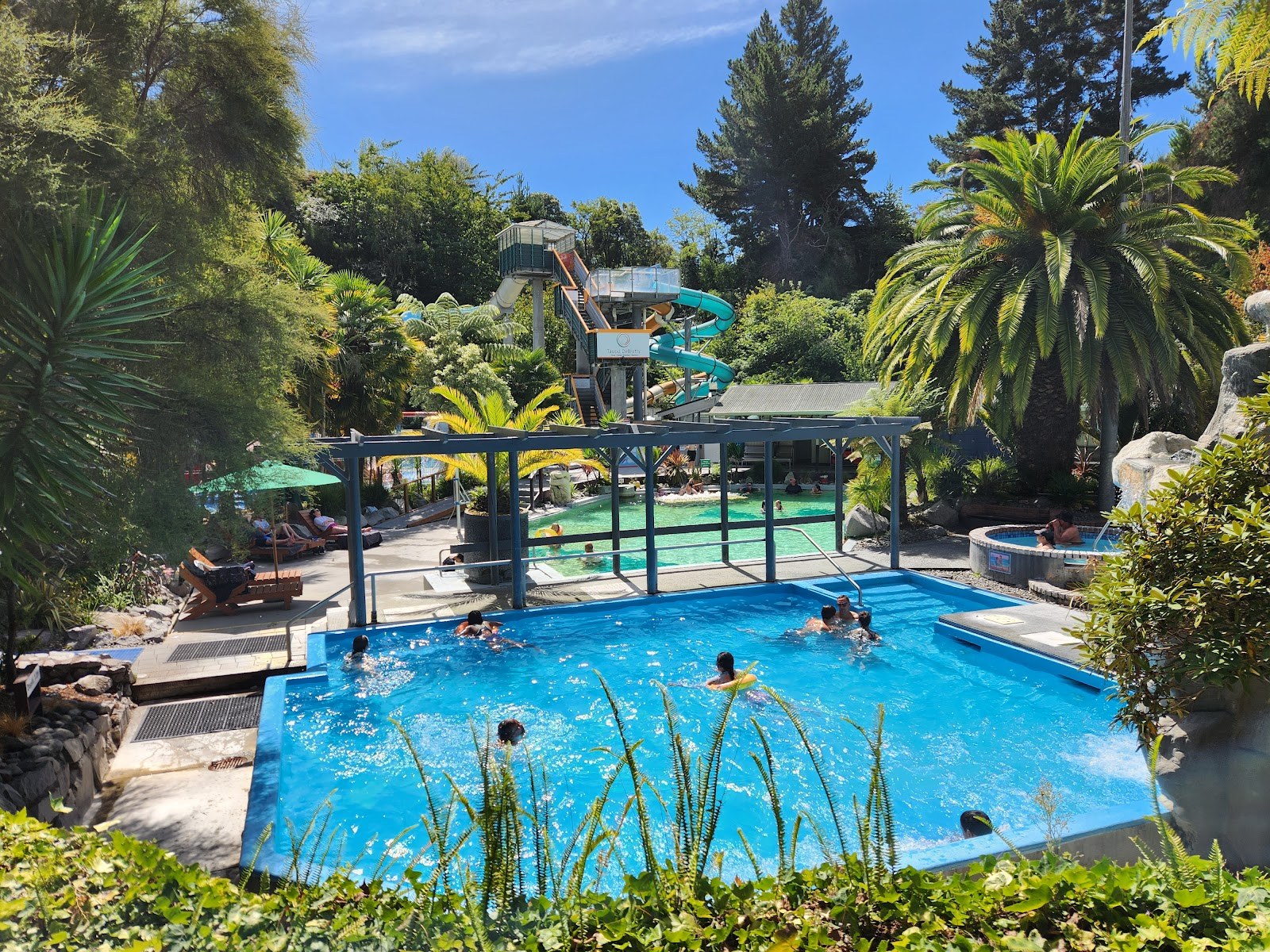Outdoor pools with bright blue and green water, shaded seating, and tall trees under a clear sky at Taupo DeBretts Hot Springs in New Zeala.