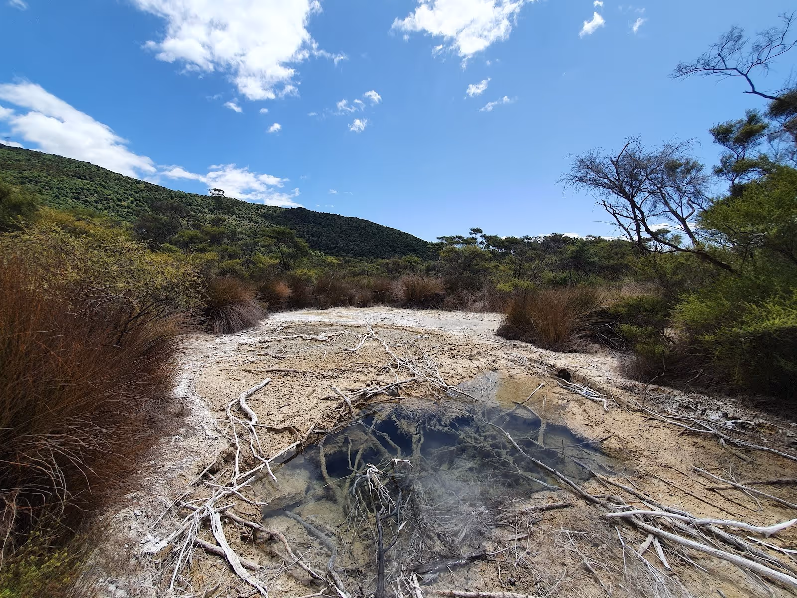 Small steaming natural hot spring pool with clear water and surrounding dried branches in a green hilly landscape at Tokaanu Thermal Pools.
