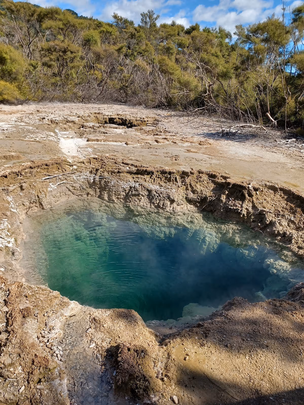 Clear blue natural hot spring pool surrounded by textured mineral deposits and green shrubs at Tokaanu Thermal Pools near Tokaanu New Zeala.
