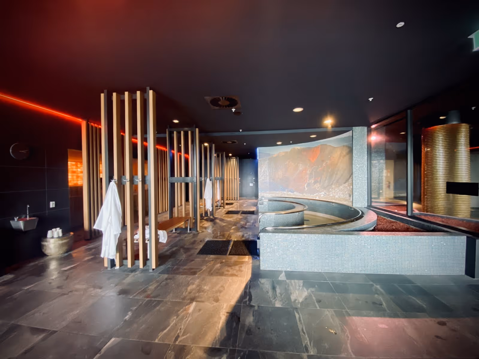 Small rectangular indoor spa pool at Wai Ariki with a metal handrail, wooden slat wall, and hanging greenery in Rotorua New Zealand.