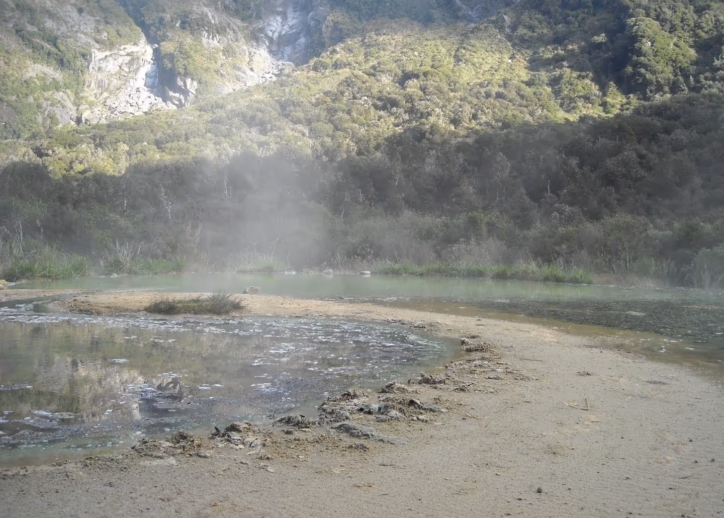 Welcome Flat Hot Pools steaming gently near rocky cliffs with dense green forest in Fox Glacier, New Zealand.