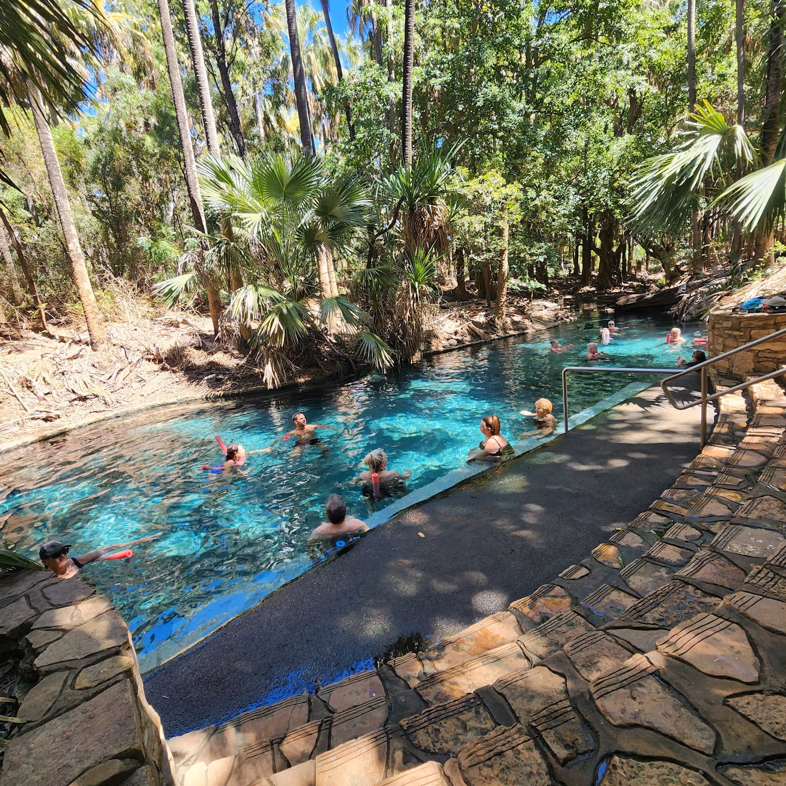 People soaking in the clear blue water of Mataranka Thermal Pool surrounded by tall palm trees in Mataranka Northern Territory.