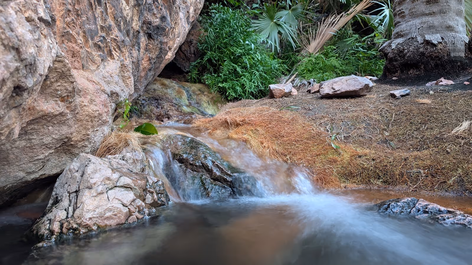 Gentle stream cascading over stones into a shallow mineral pool with tropical foliage at Zebedee Springs.