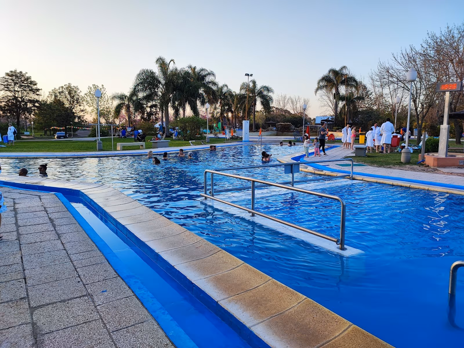 Outdoor rectangular blue hot spring pool with palm trees and people enjoying the water at Termas Villa Elisa in Argentina.