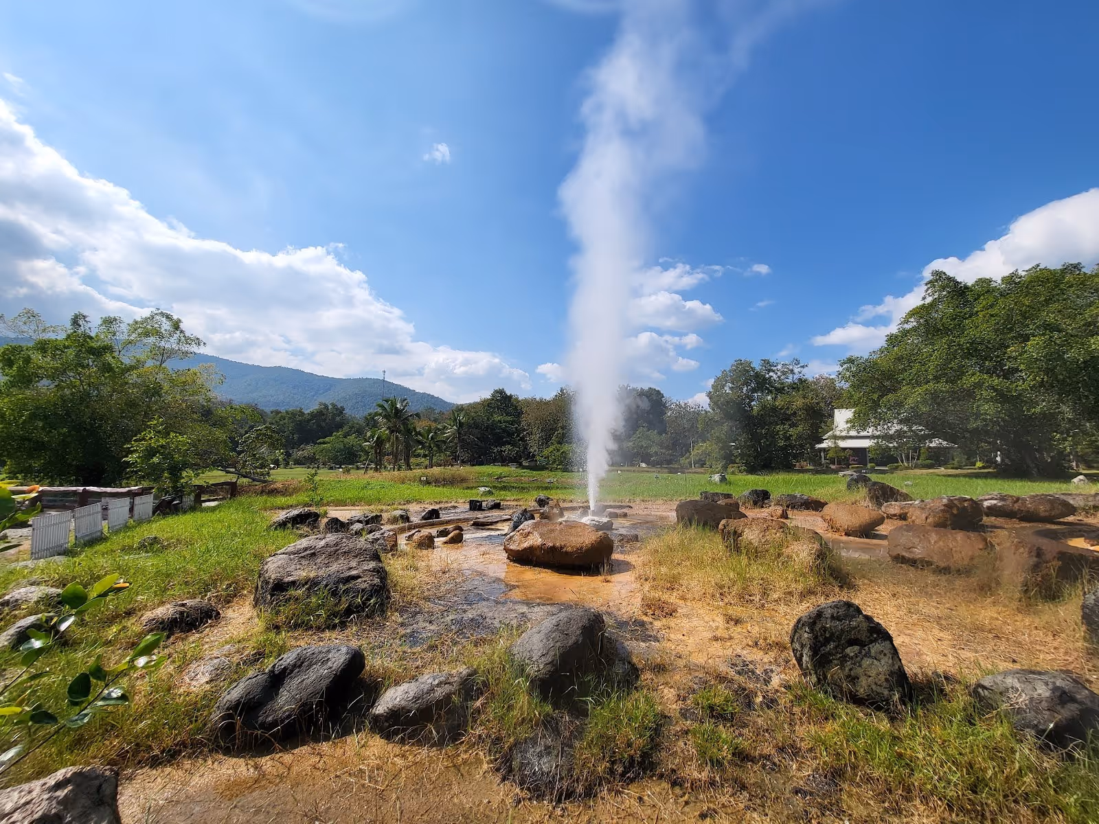 Single geyser erupting steam from a rocky spring field with grass and trees at San Kamphaeng Hot Springs in Nan, Thailand.