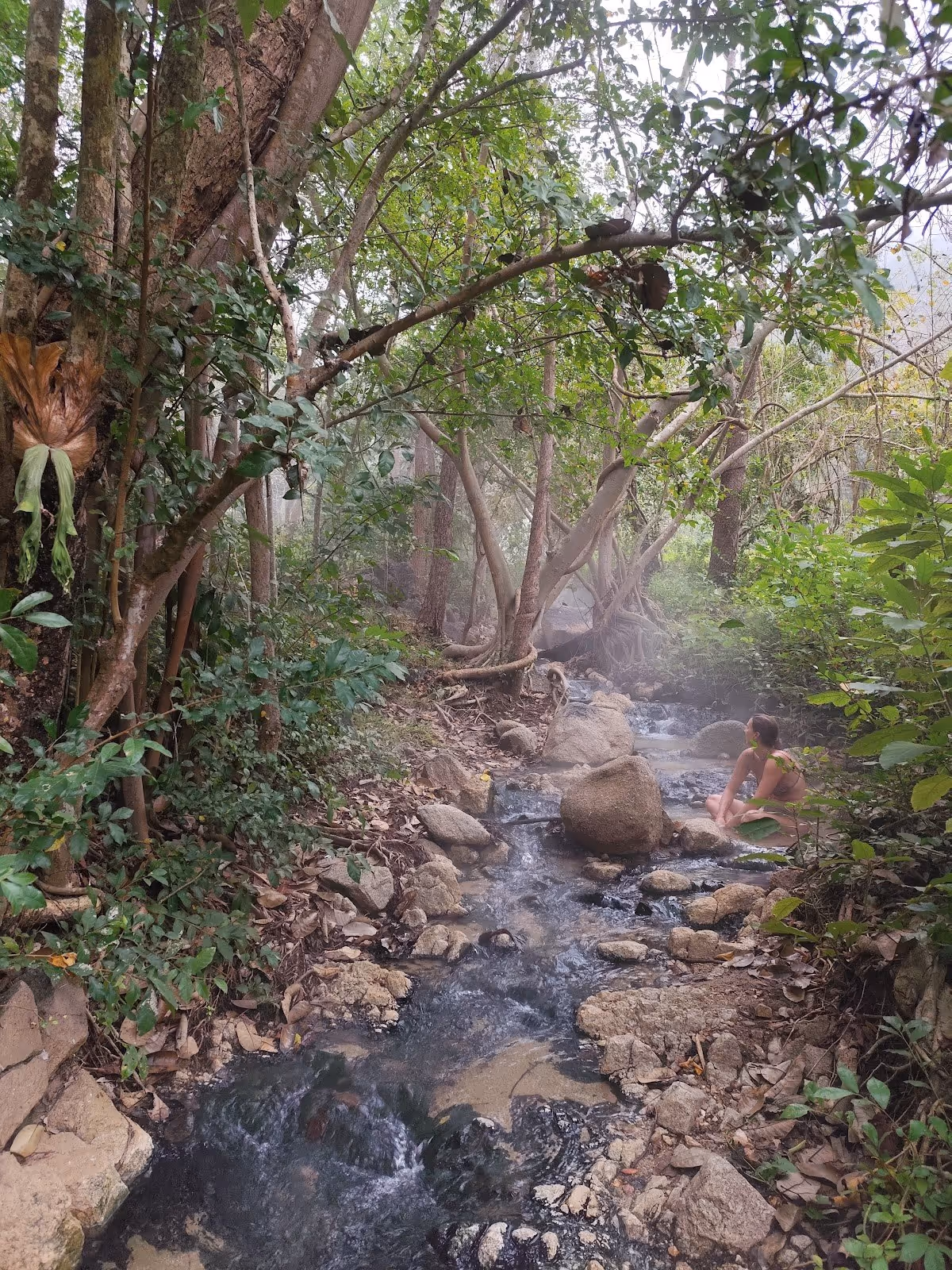 A person sitting beside a rocky natural hot spring stream enveloped by lush green trees in the Tha Pai Hot Spring area.