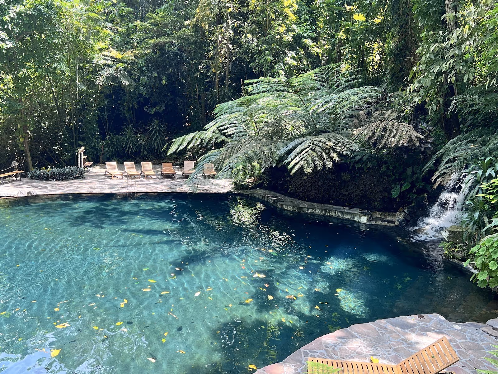 Waterfall flowing into a natural stone pool with sunlit lounge chairs and large palm leaves at Hidden Valley Springs.