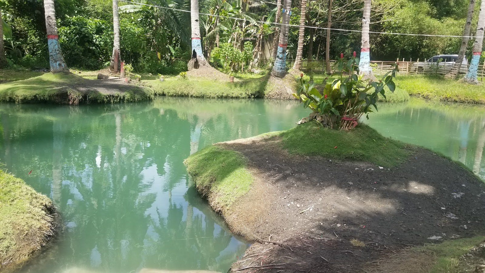 Calm natural hot spring pond with greenish water and palm trees painted blue on trunks around the edge in Calbayog City.