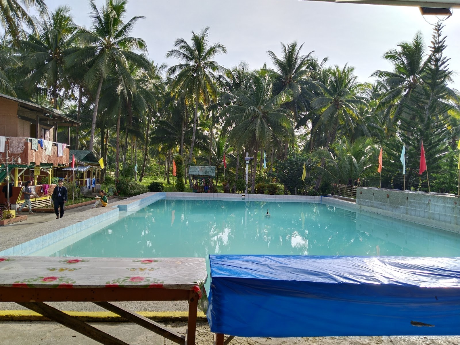 Empty outdoor soaking pool with blue water surrounded by palm trees and colorful flags at Mapaso Hot Spring resort area.