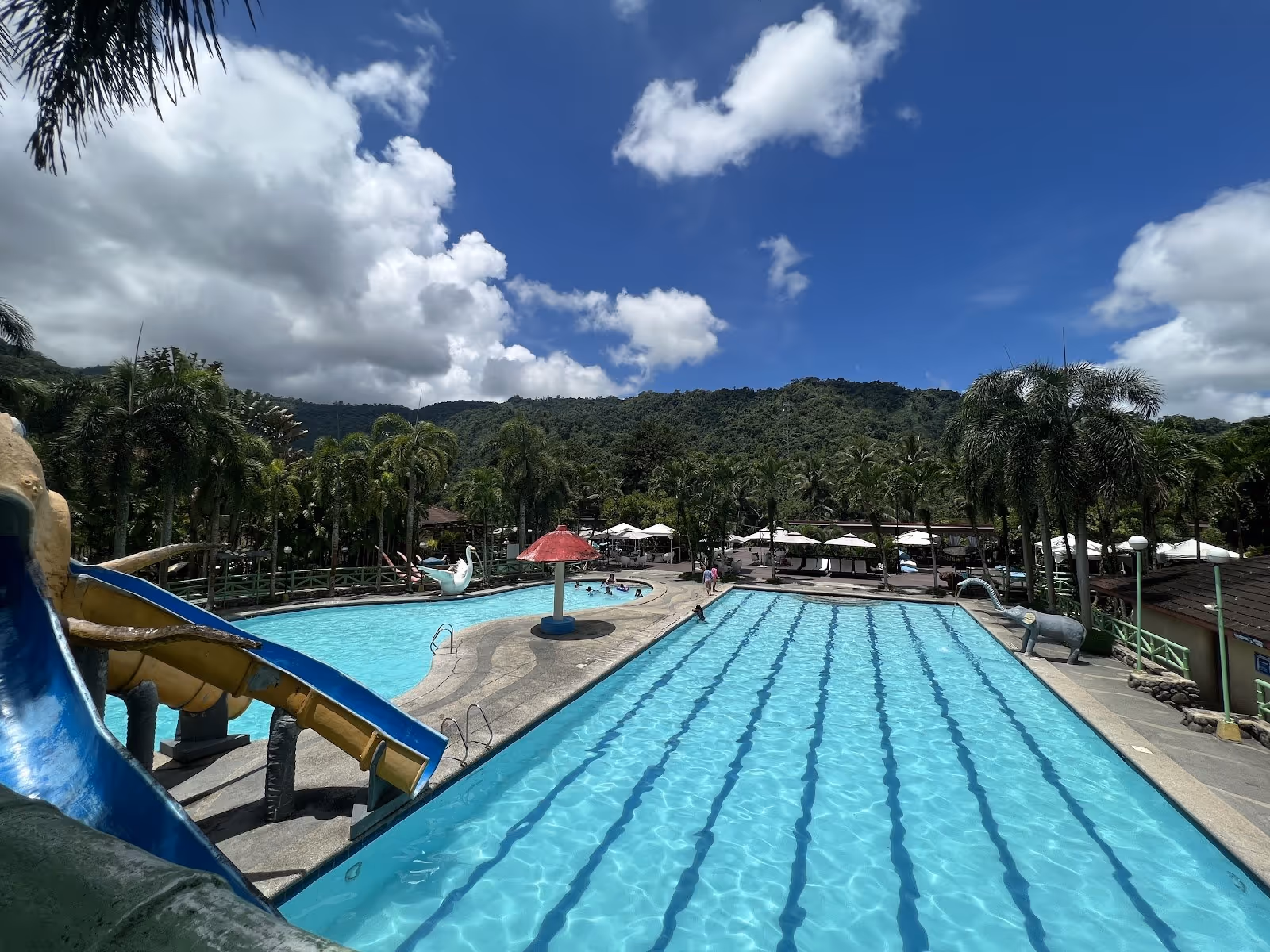 Two large outdoor pool areas at Palm Grove Hot Springs and Mountain Resort with water slides and palm trees under a blue sky near Baguio Ph.