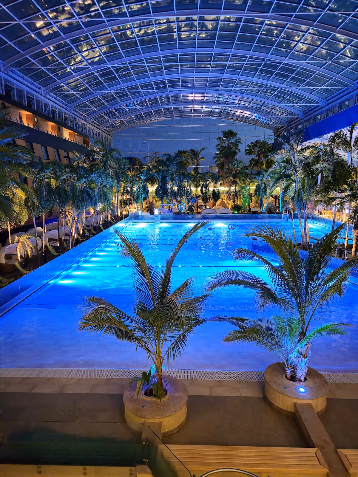 Night view of the illuminated indoor mineral pool at Therme Erding in Erding, Germany with palm trees around the glowing water area.