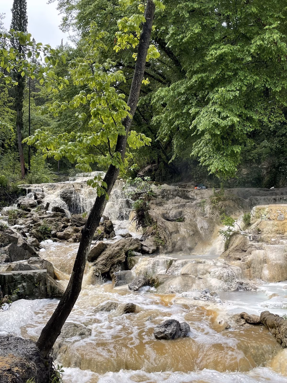 Steam rises from flowing hot spring water across rocky terraces amid lush green trees at Fosso Bianco Italy.