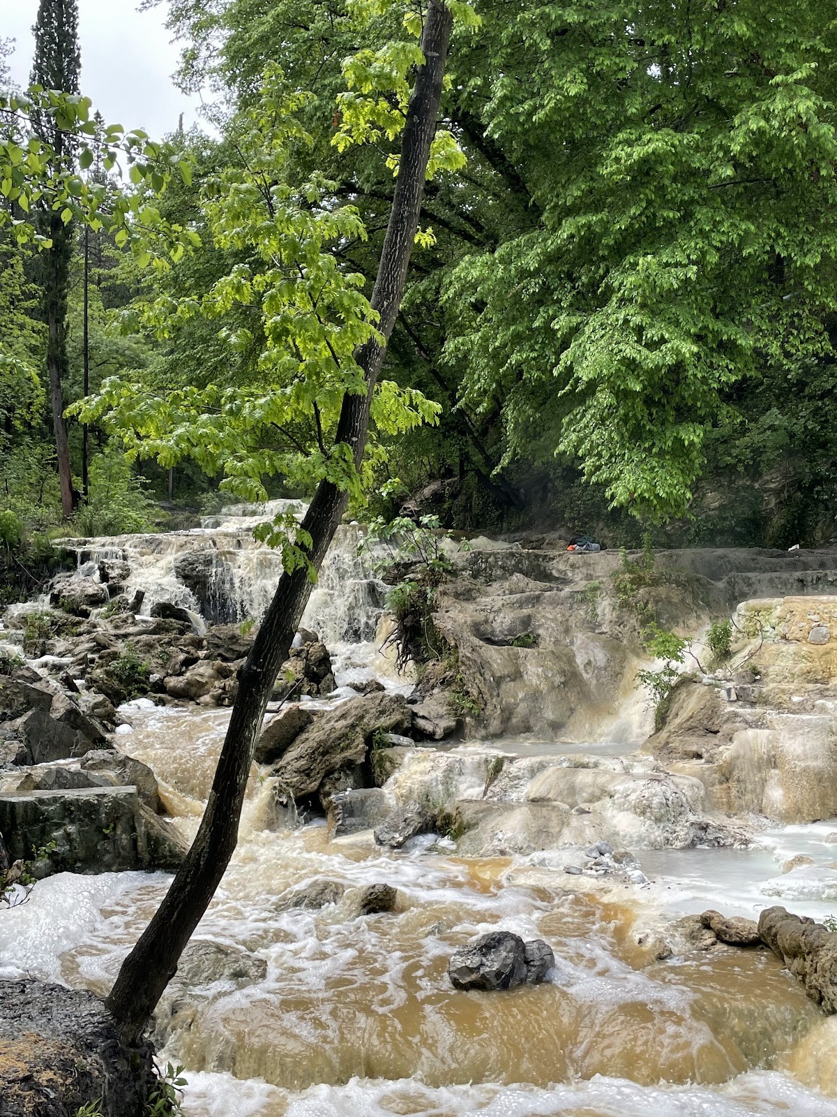 Steam rises from flowing hot spring water across rocky terraces amid lush green trees at Fosso Bianco Italy.