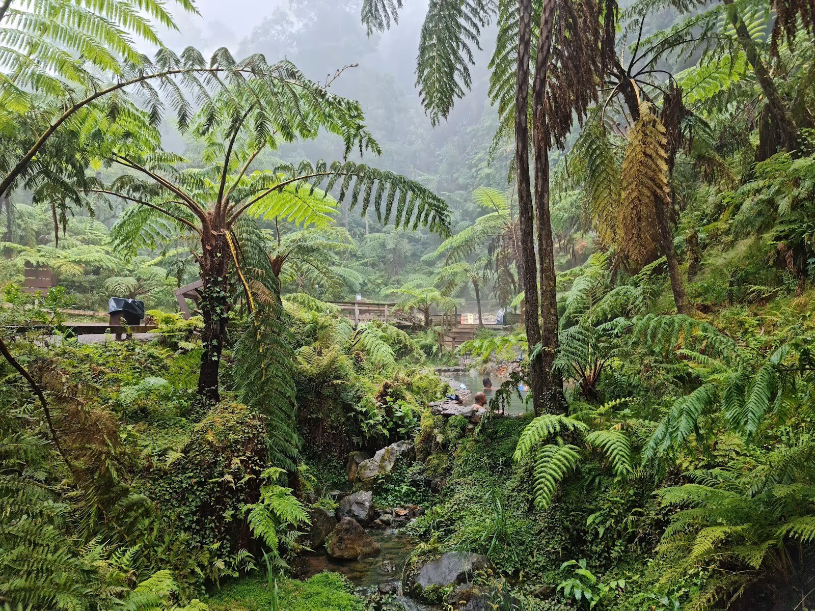 Steaming hot spring pools at Caldeira Velha framed by thick tropical ferns and trees under cloudy skies near Ribeira Grande Portugal.
