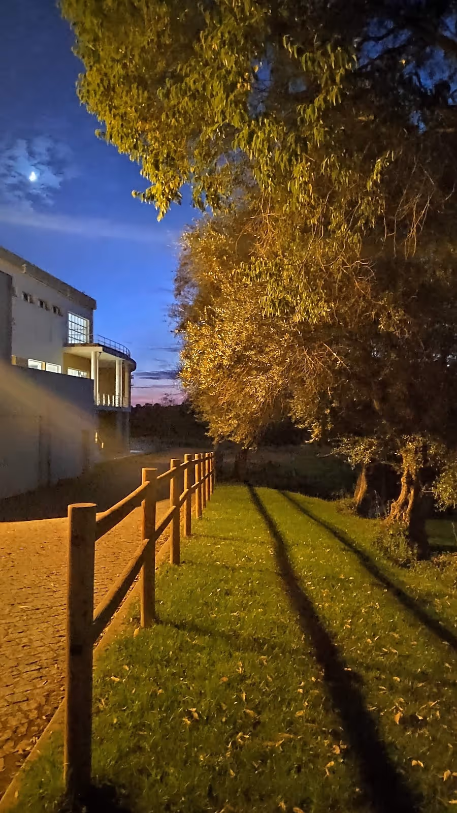 Night view of a walkway lined with trees casting long shadows near illuminated buildings adjacent to the Termas da Sulfurea hot spring in P.