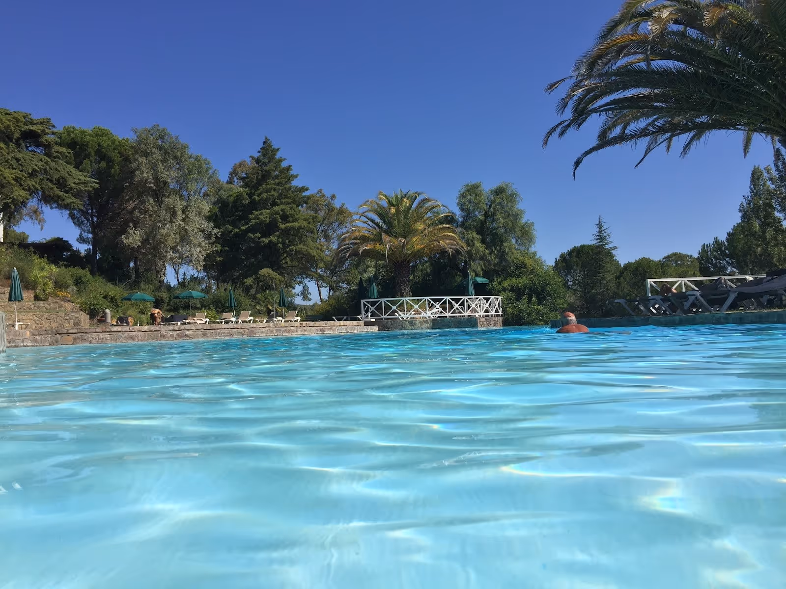 Wide view from water level of Termas de Monfortinho hot spring pool with a swimmer, palm trees, green umbrellas, and wooded hills in Monfor.