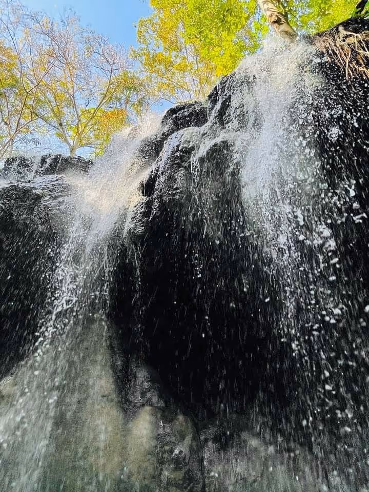 Close-up low angle view of water falling over dark rocky cliff with sunlight filtering through green leaves above at Finca El Paraiso water.