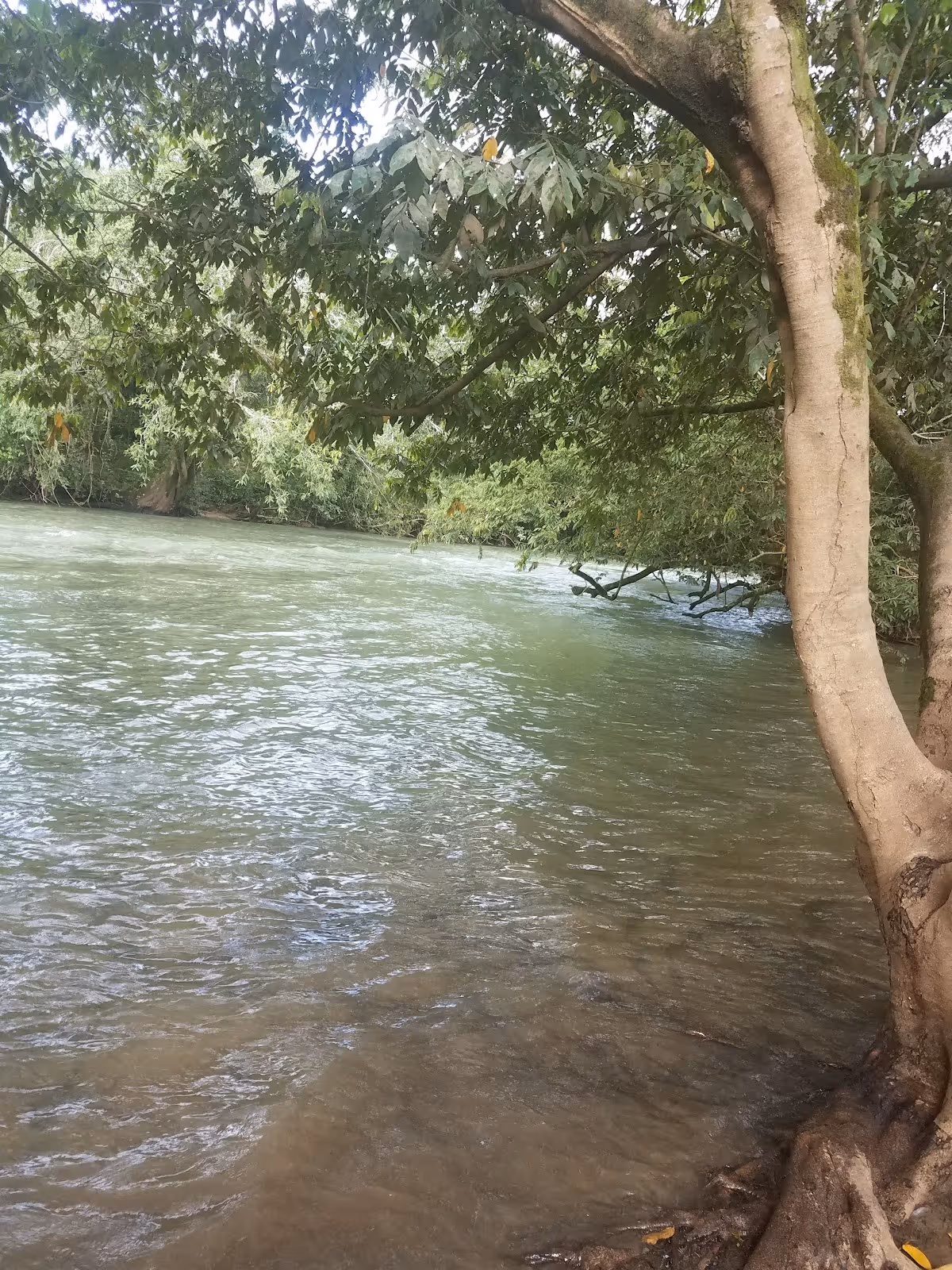 Warm Spring Creek at The Lodge at Big Falls, Belize.