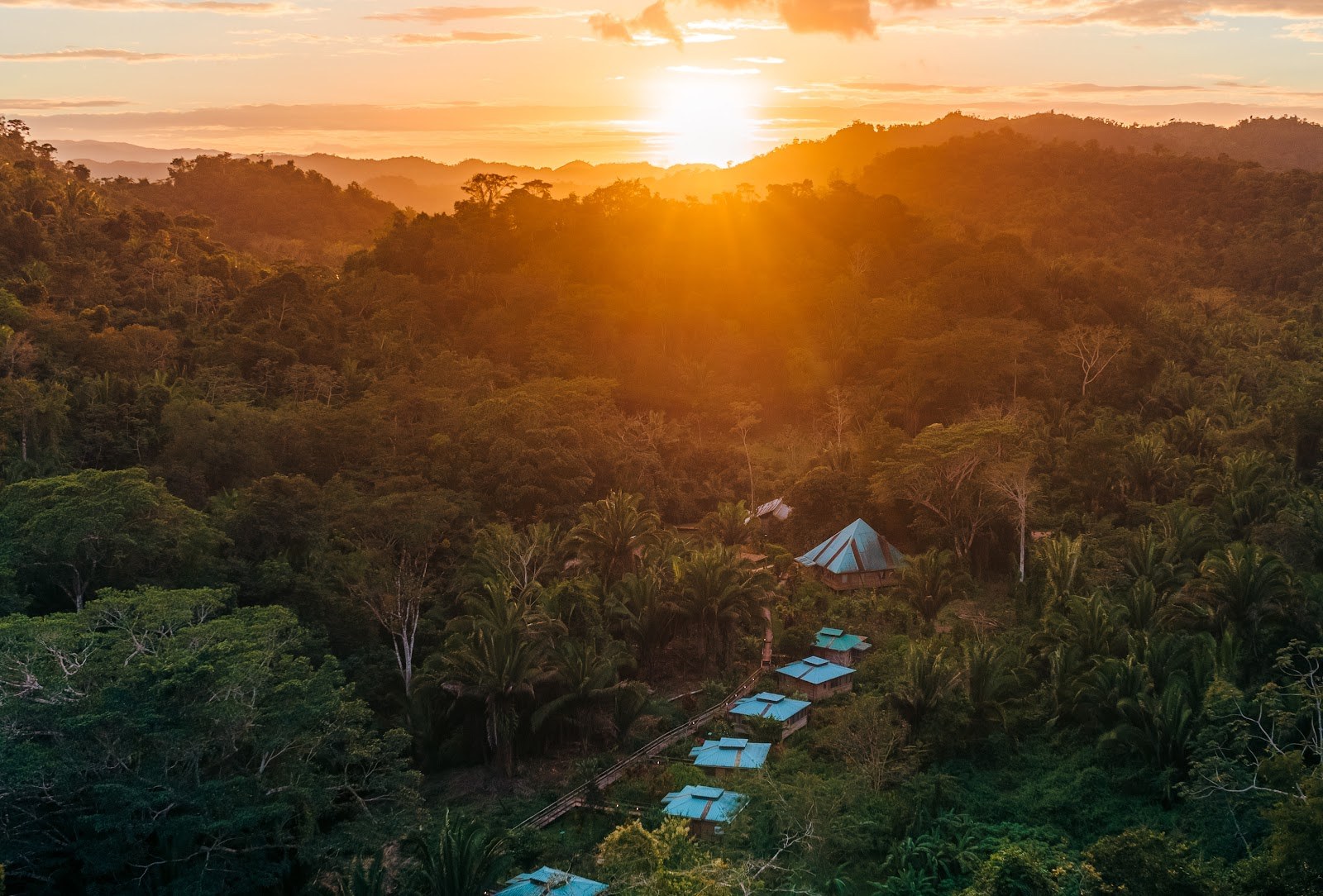 Black Creek Hot Springs & Forest, Belize.