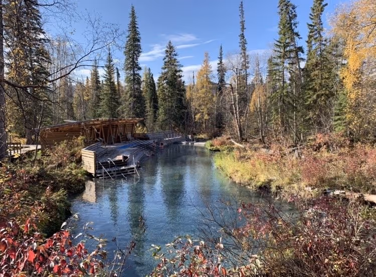 Liard River Hot Springs, Canada.
