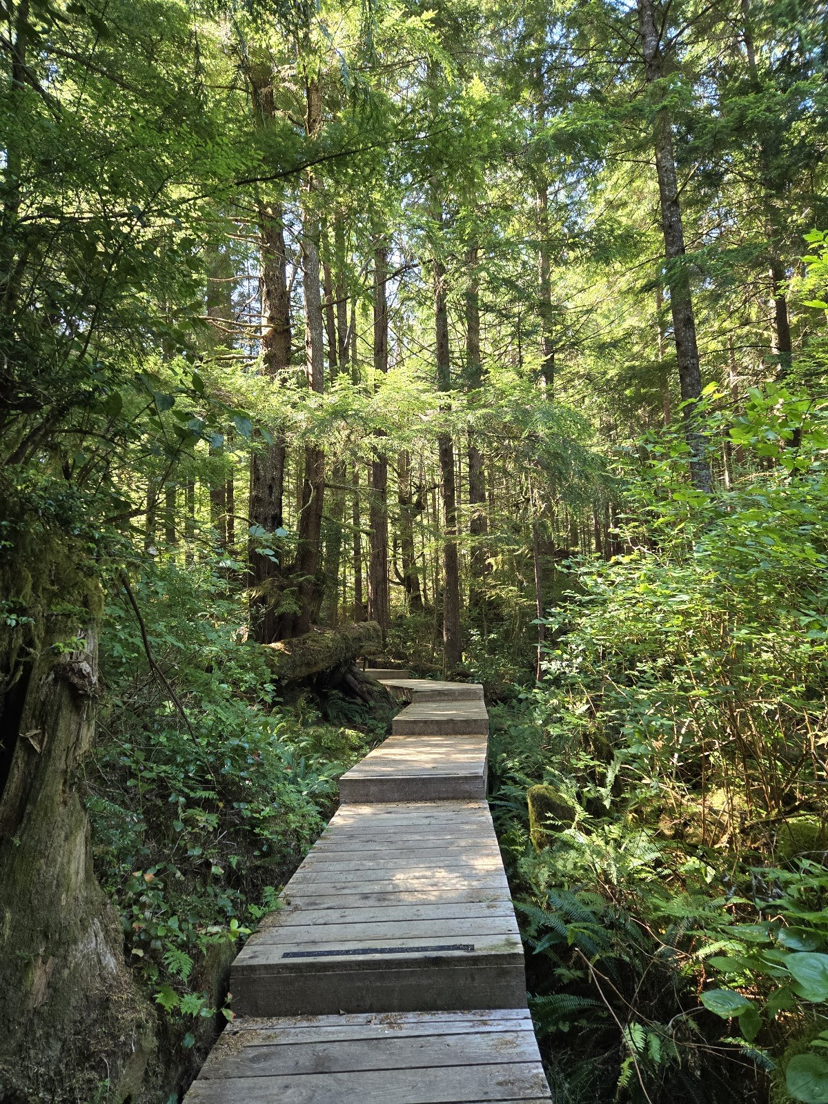 Ramsay Hot Spring, Canada.