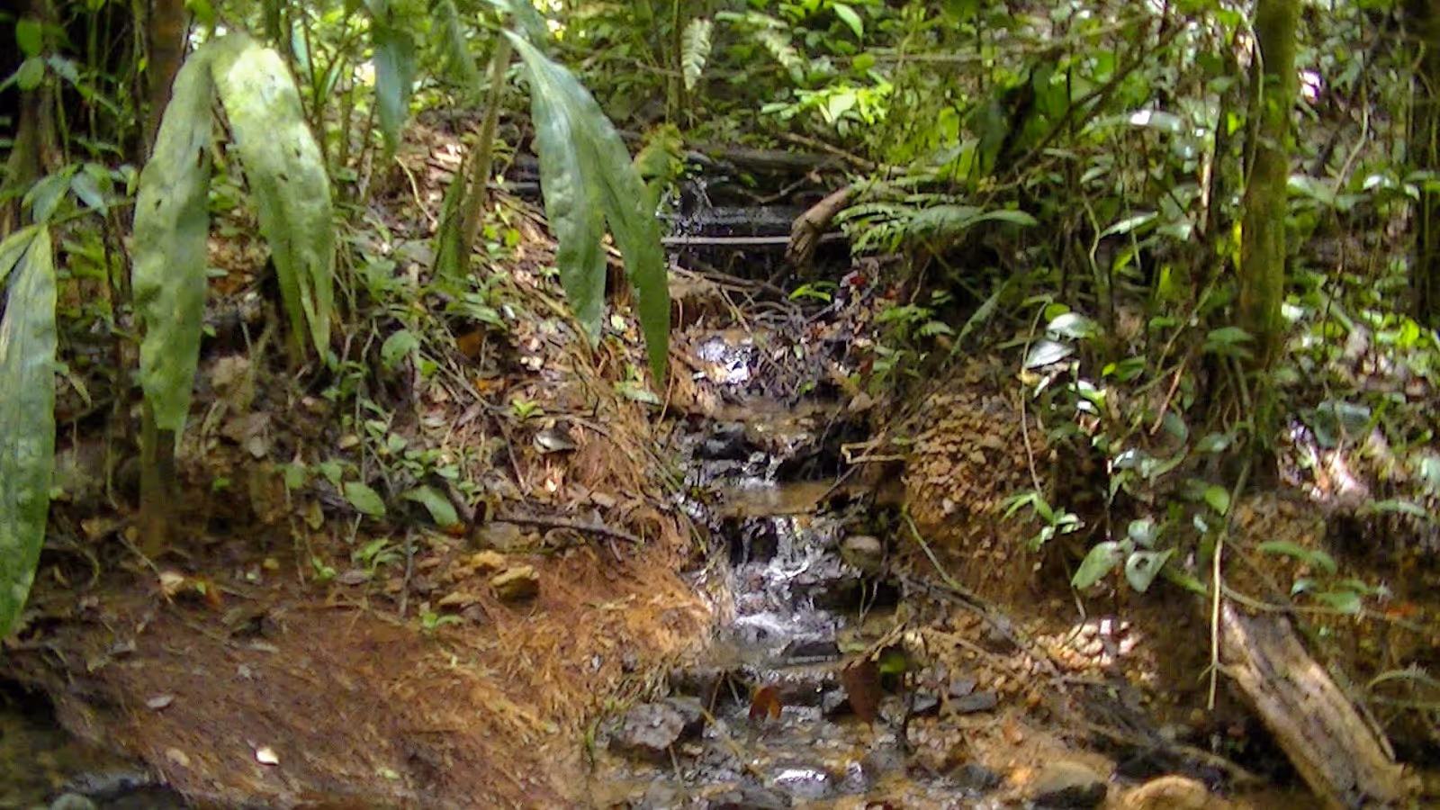 Termales de Jurubirá, Colombia.