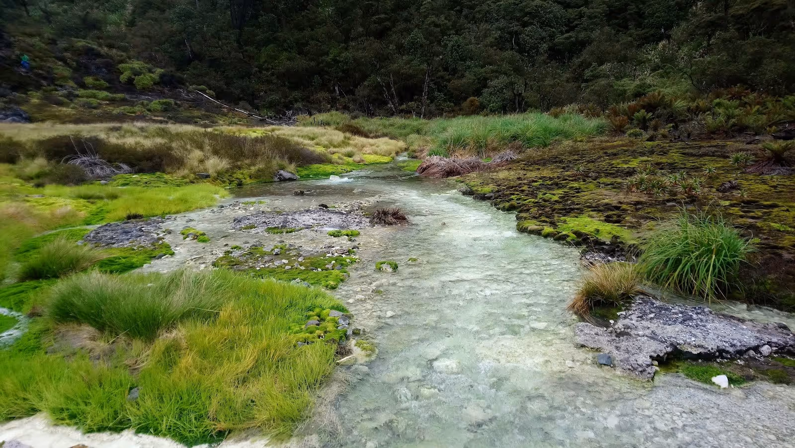 Termales de San Juan, Colombia.