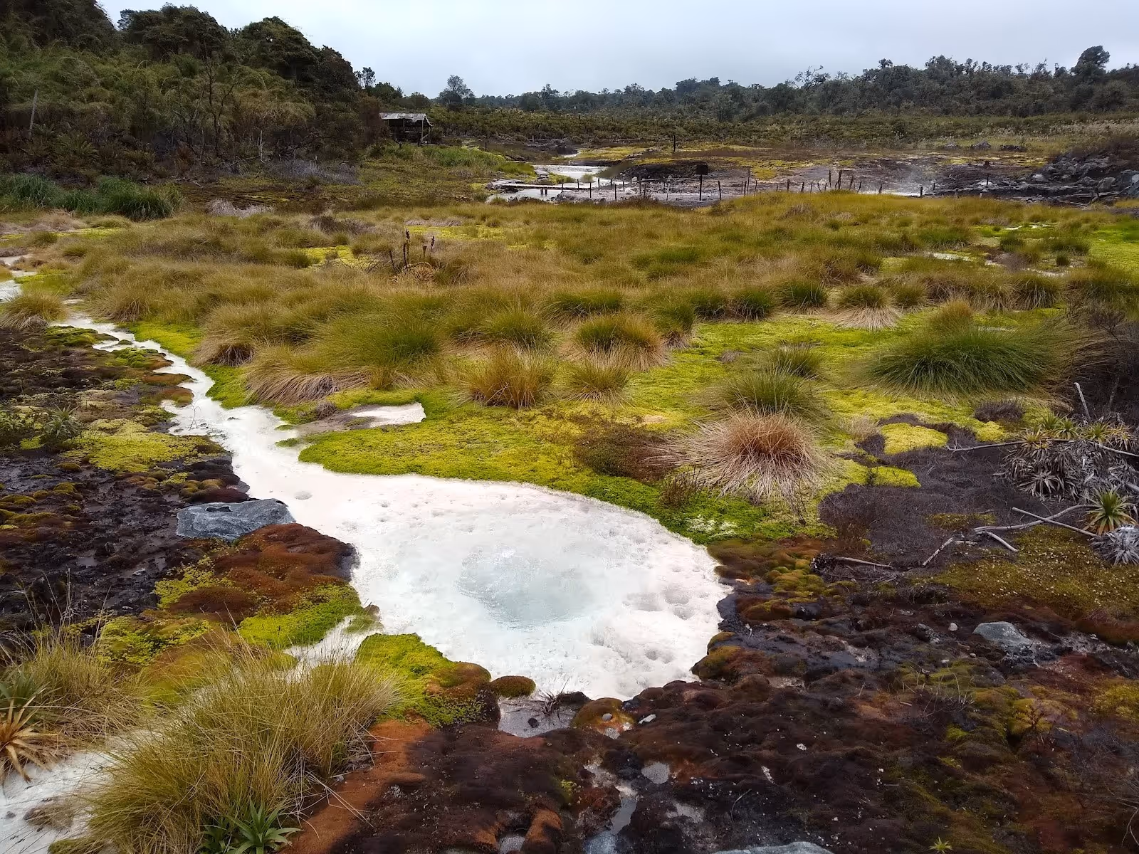 Termales de San Juan, Colombia.