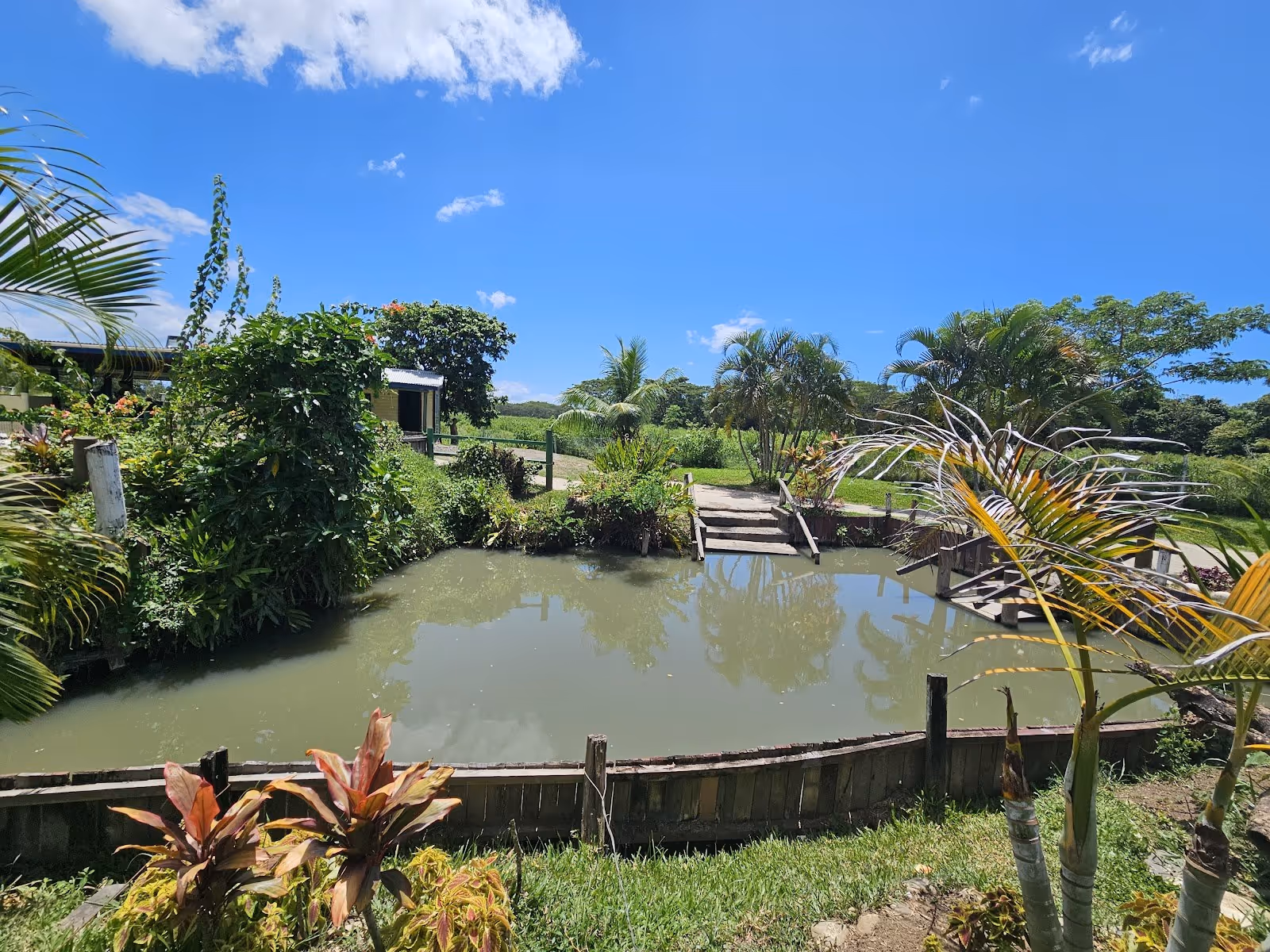 Sabeto Hot Springs and Mud Pool, Fiji.