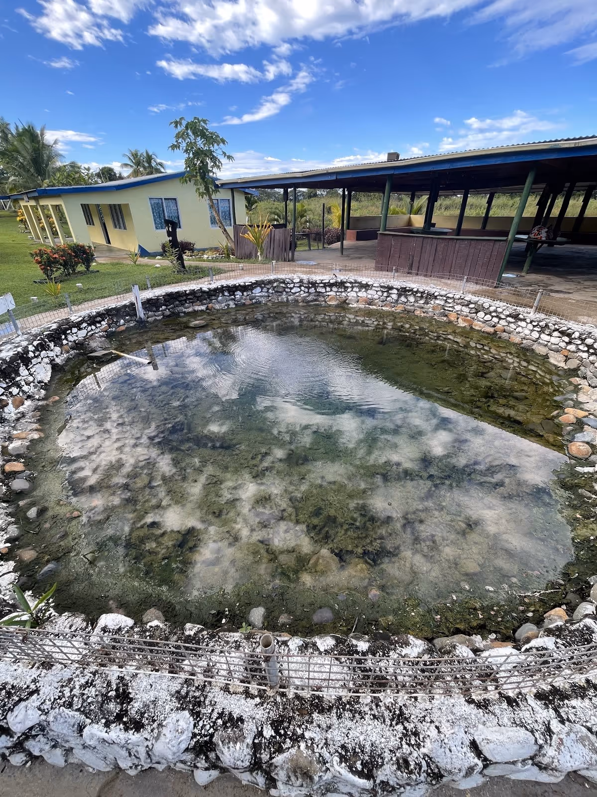 Sabeto Hot Springs and Mud Pool, Fiji.