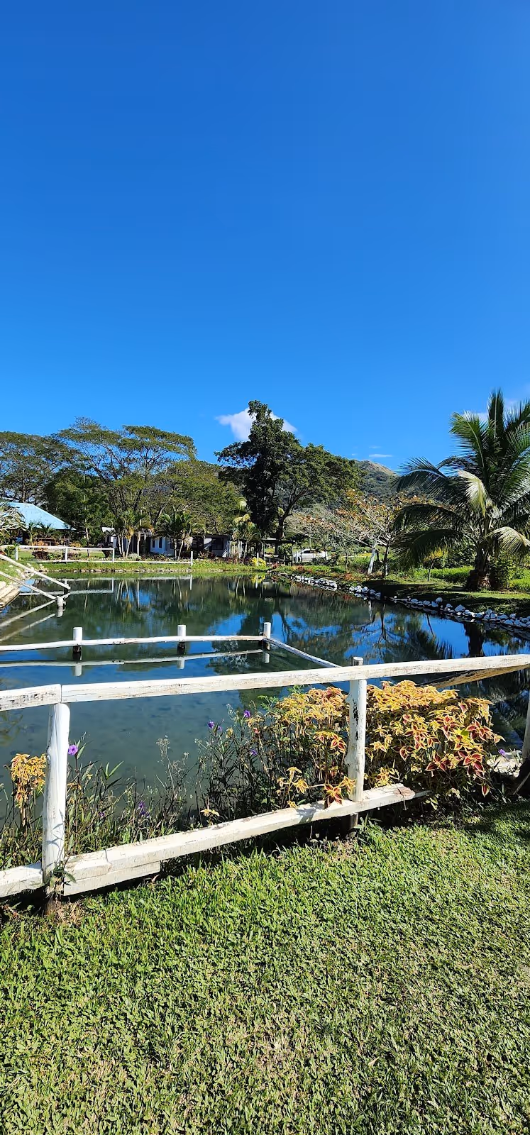 Tifajek Mud Pool and Hot Spring, Fiji.