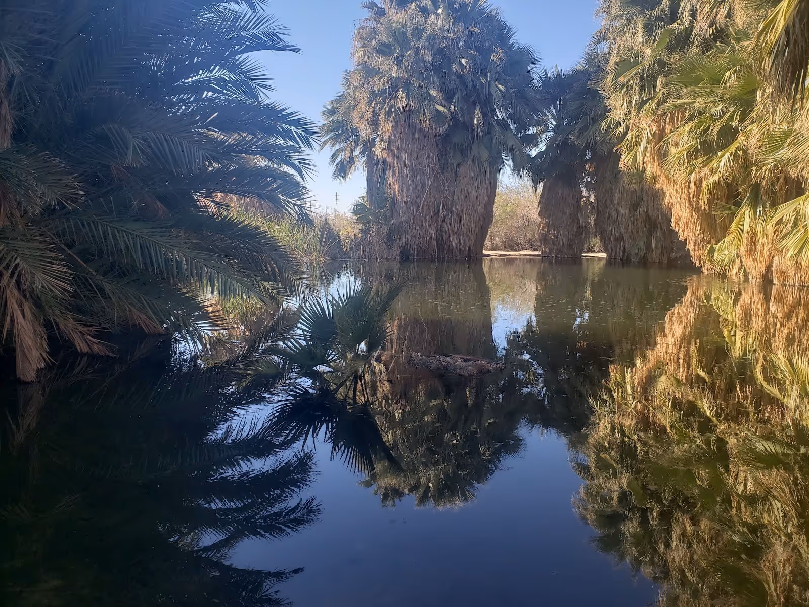 Hot Springs Long Term Visitor Area, California.