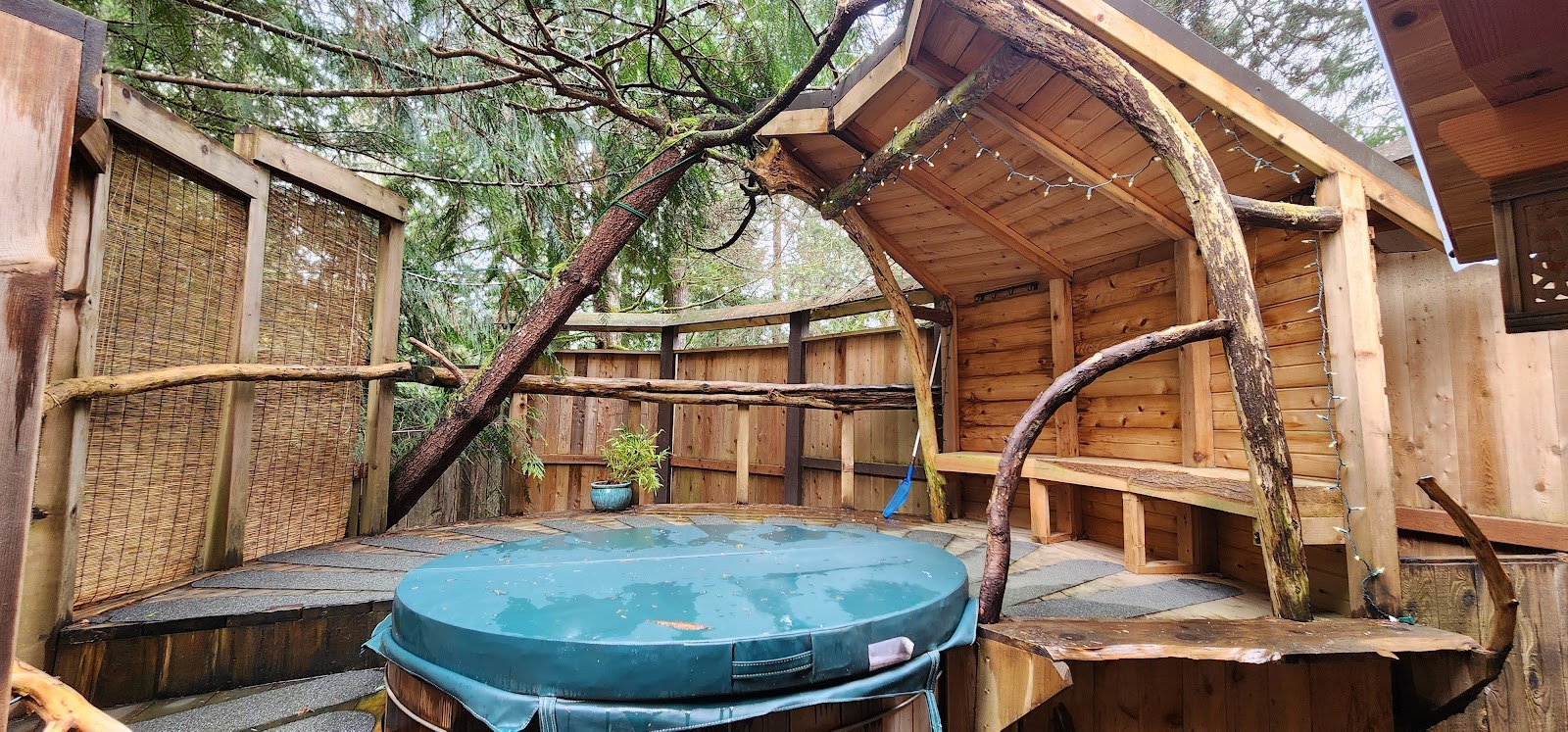 Longmire Springs, Washington.