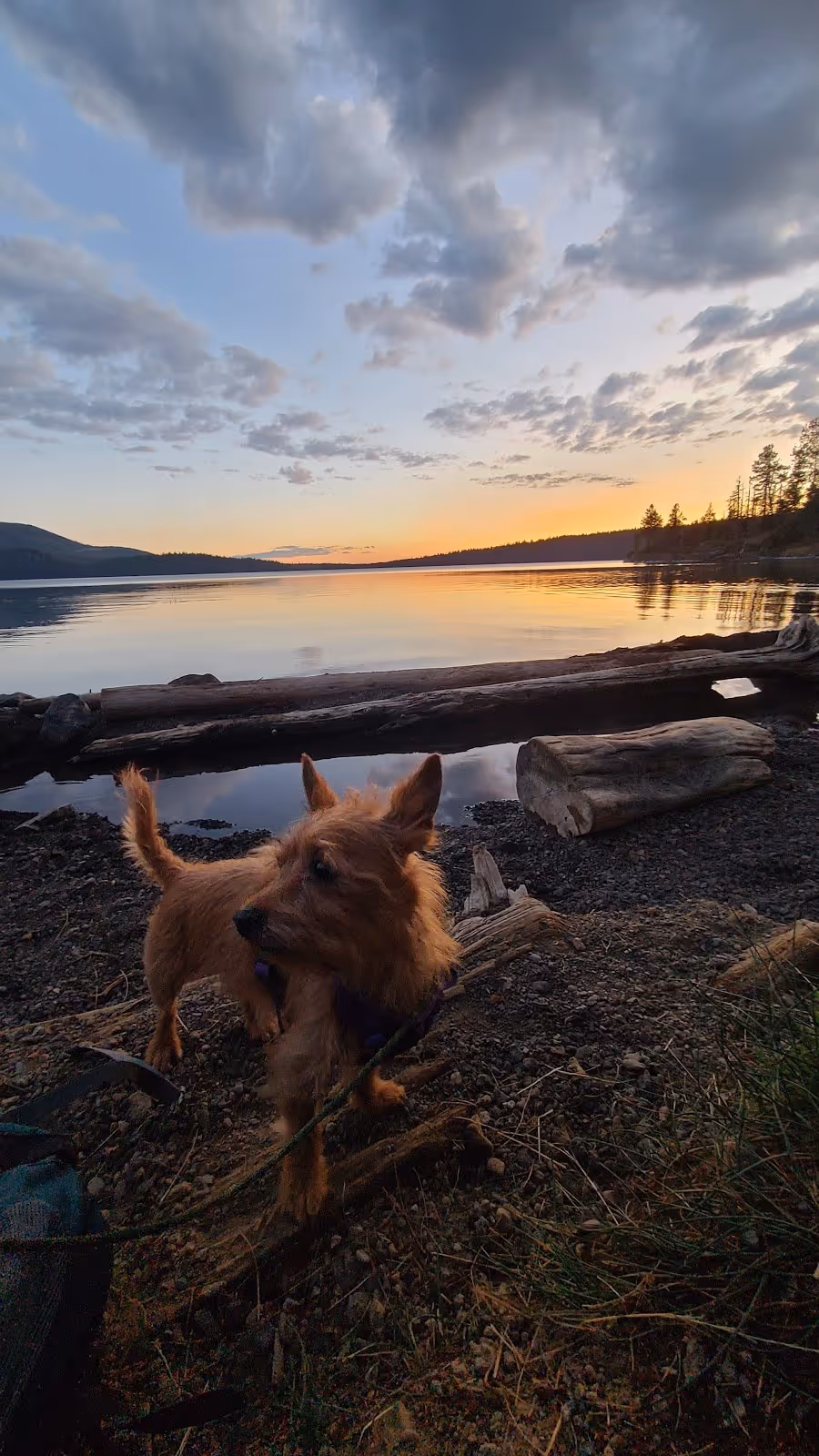 Paulina Lake Hot Springs, Oregon.
