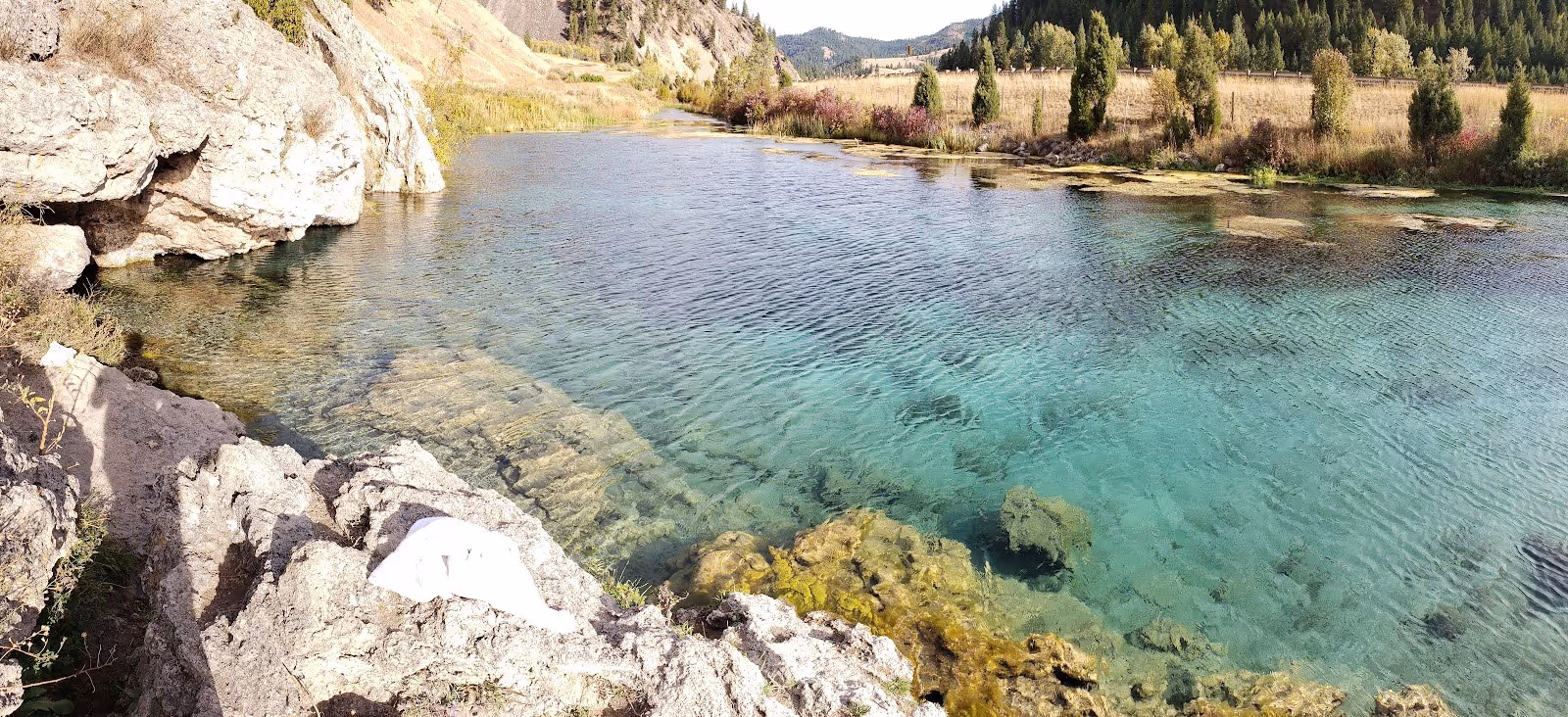 Nimrod Hot Springs, Montana.