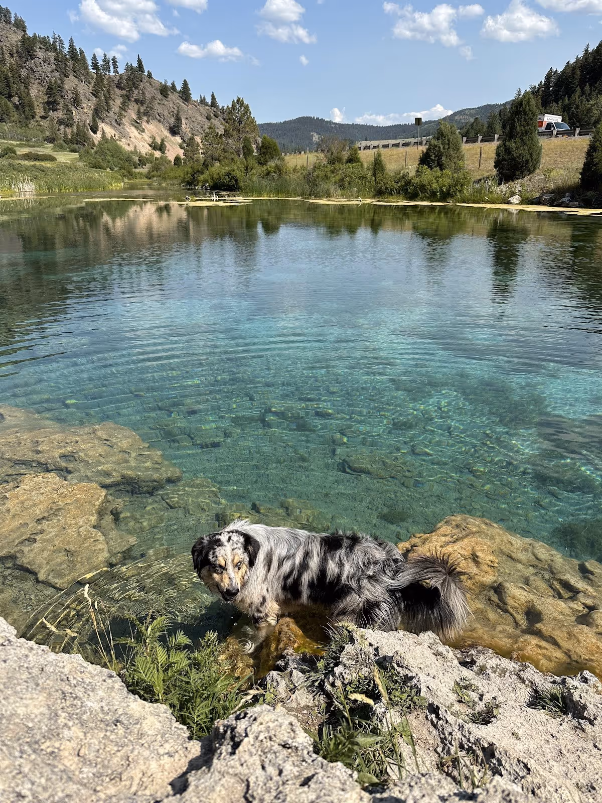Nimrod Hot Springs, Montana.