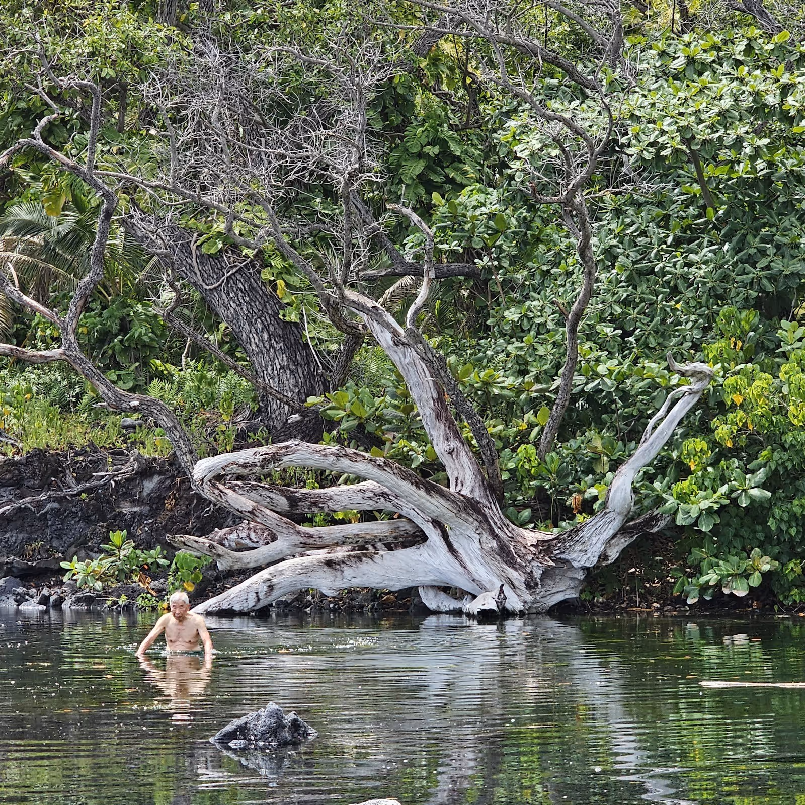 Pohoiki Warm Ponds, Hawaii.