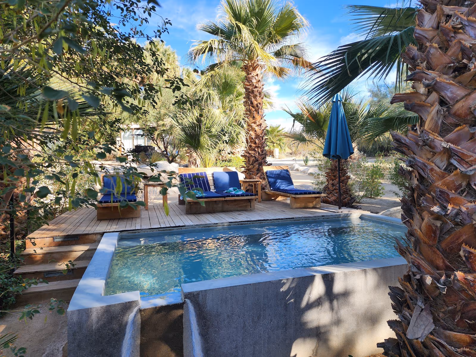 Two Bunch Palms, California.