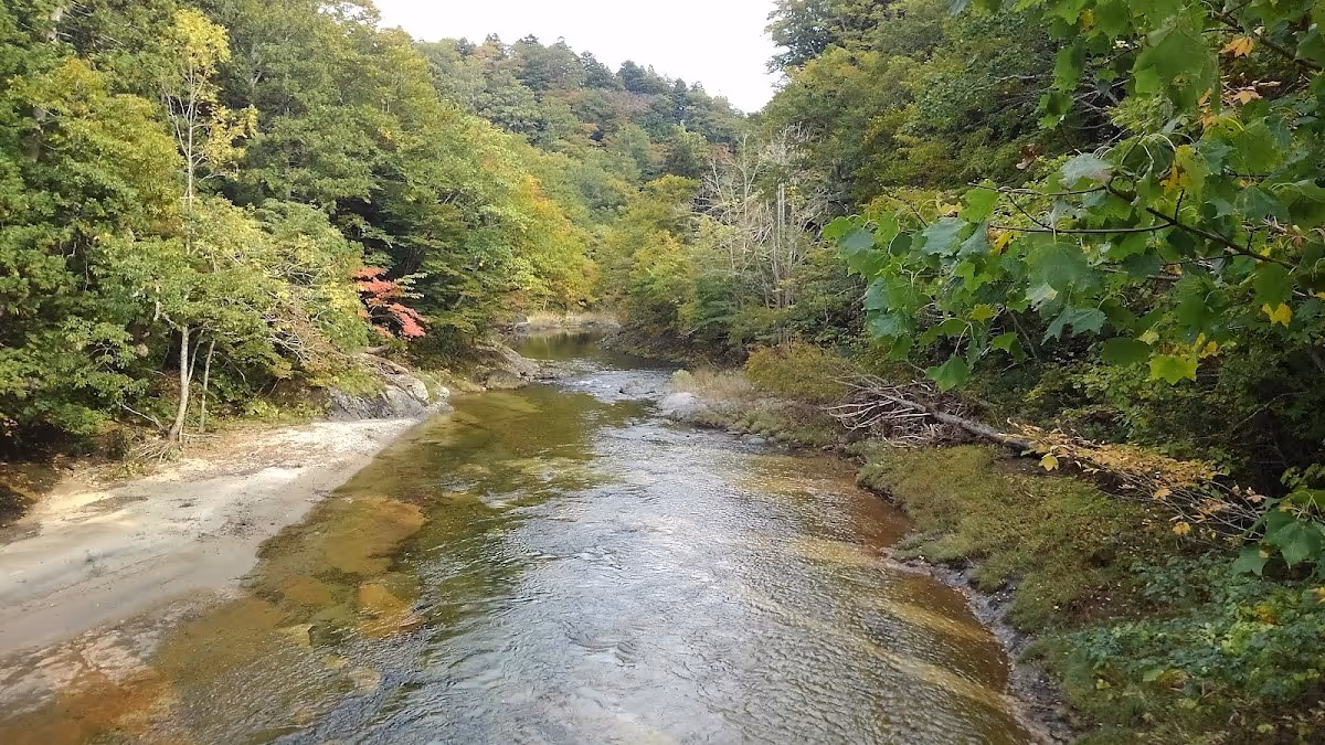 Yagen Onsen, Japan.
