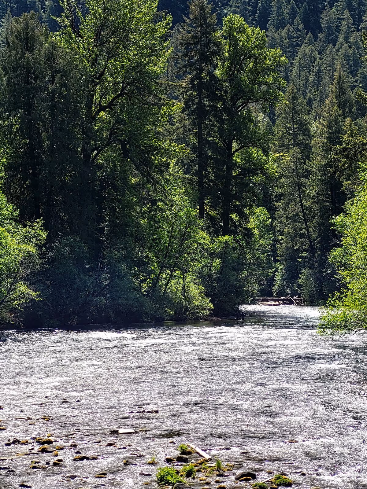 Belknap Hot Springs, Oregon.