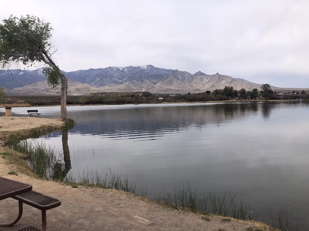 Dankworth Ponds Warm Springs, Arizona.