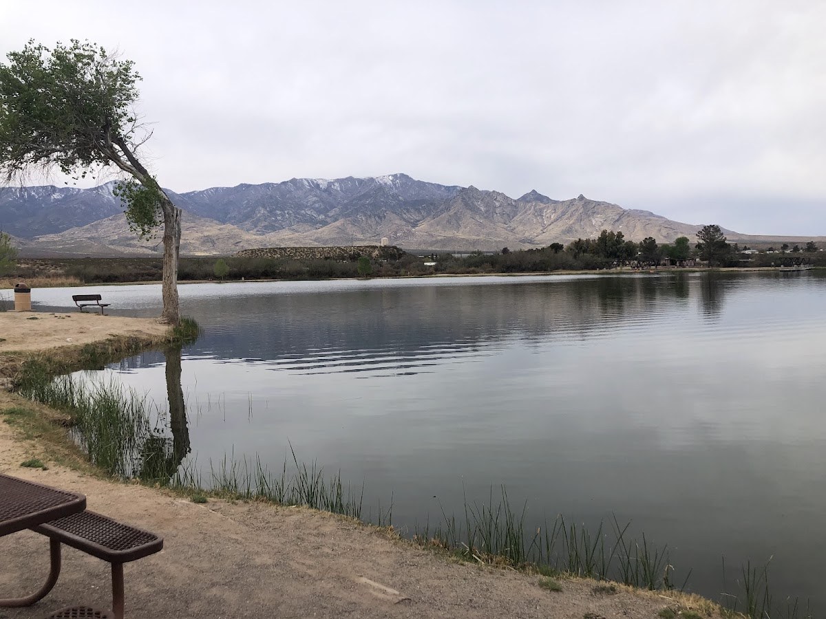 Dankworth Ponds Warm Springs, Arizona.