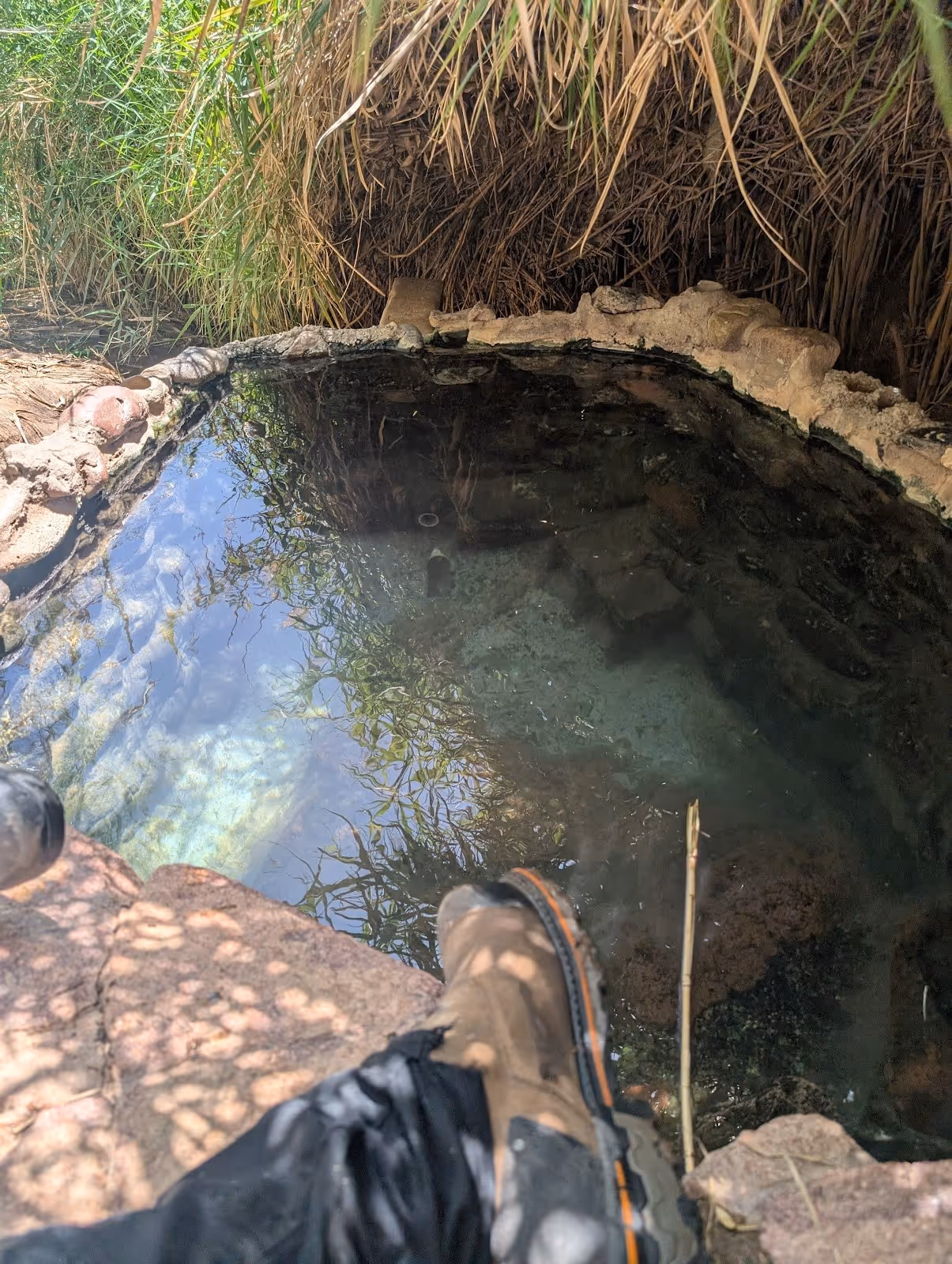 Sheep Bridge Hot Springs, Arizona.