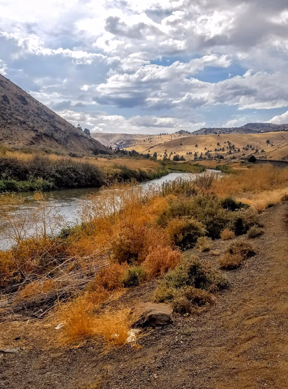 Juntura Hot Springs, Oregon.