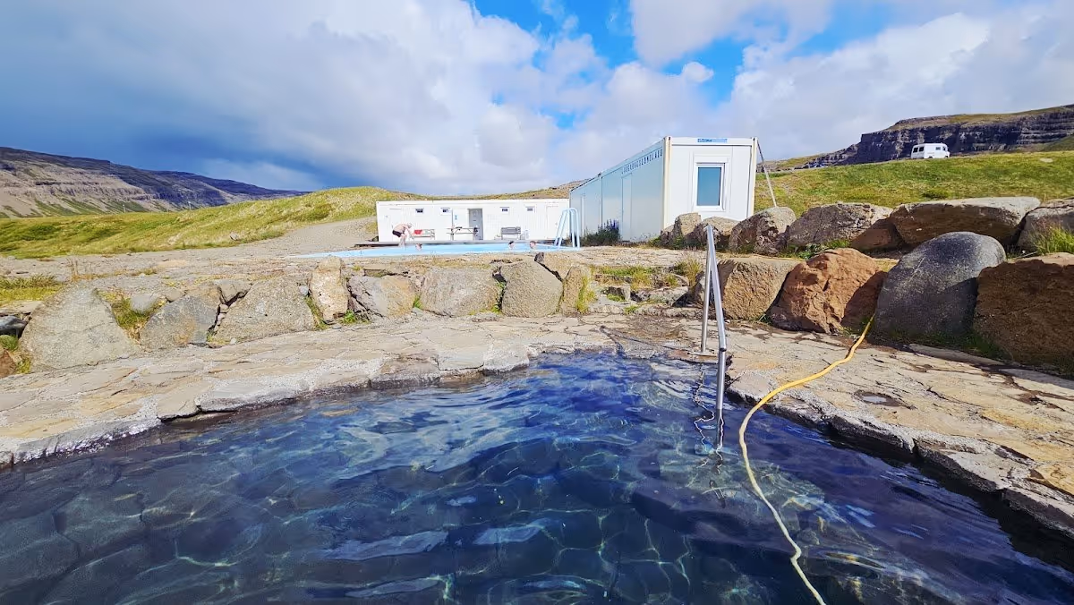 Birkimelur, Iceland.