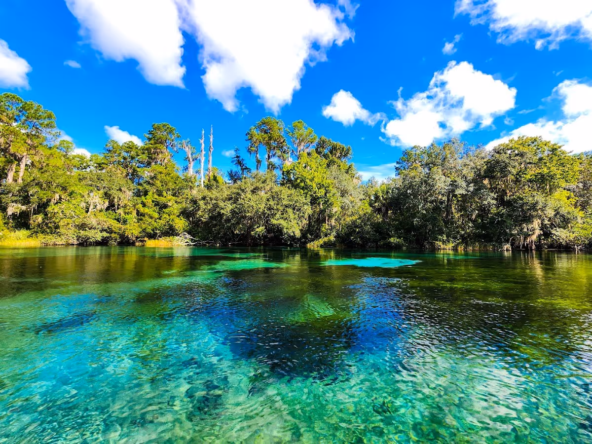 Rainbow Springs, Florida.