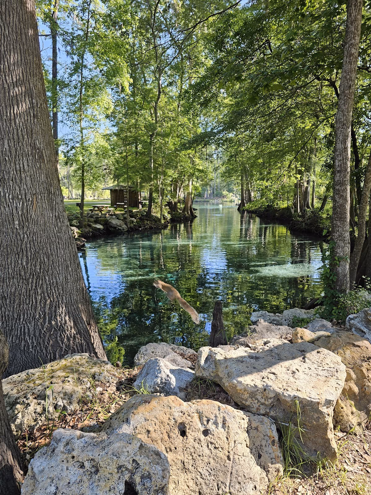 Ginnie Springs, Florida.